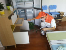 除甲醛公司是否靠譜？靠譜的公司有哪些特點？